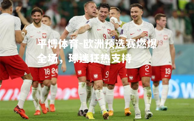 欧洲预选赛燃爆全场，球迷狂热支持