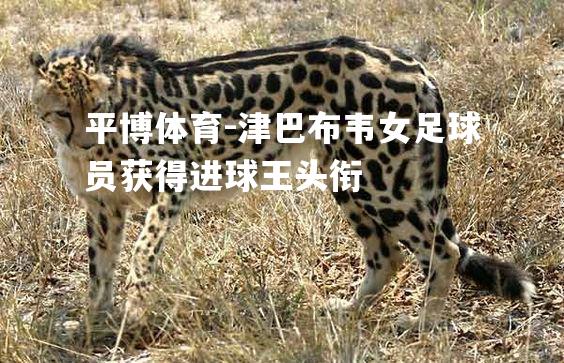 津巴布韦女足球员获得进球王头衔