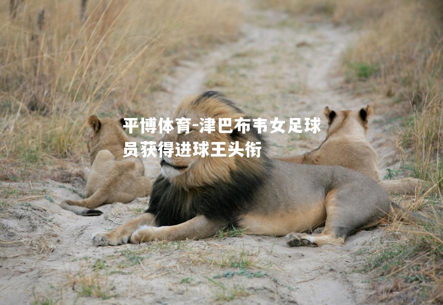 津巴布韦女足球员获得进球王头衔