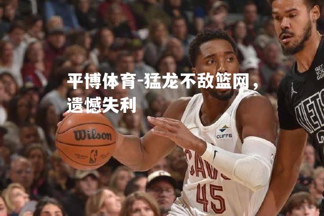 猛龙不敌篮网，遗憾失利