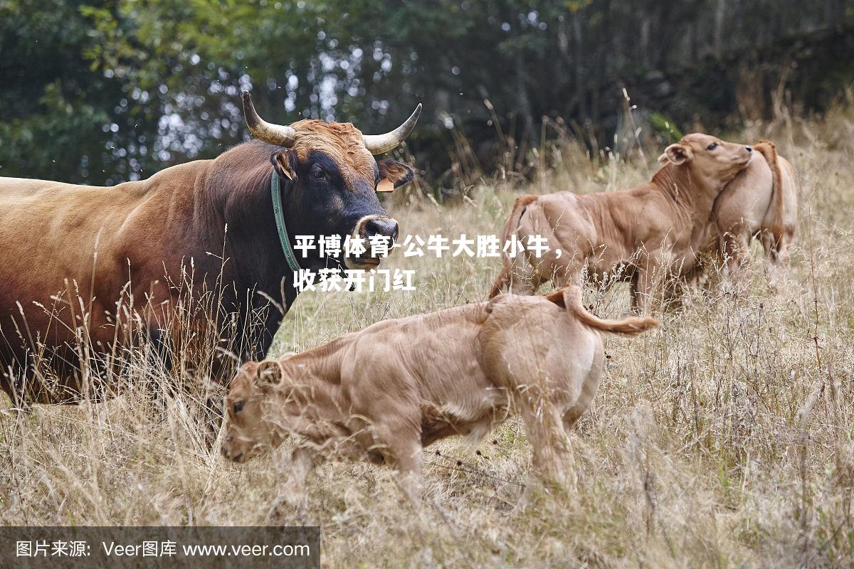 公牛大胜小牛，收获开门红