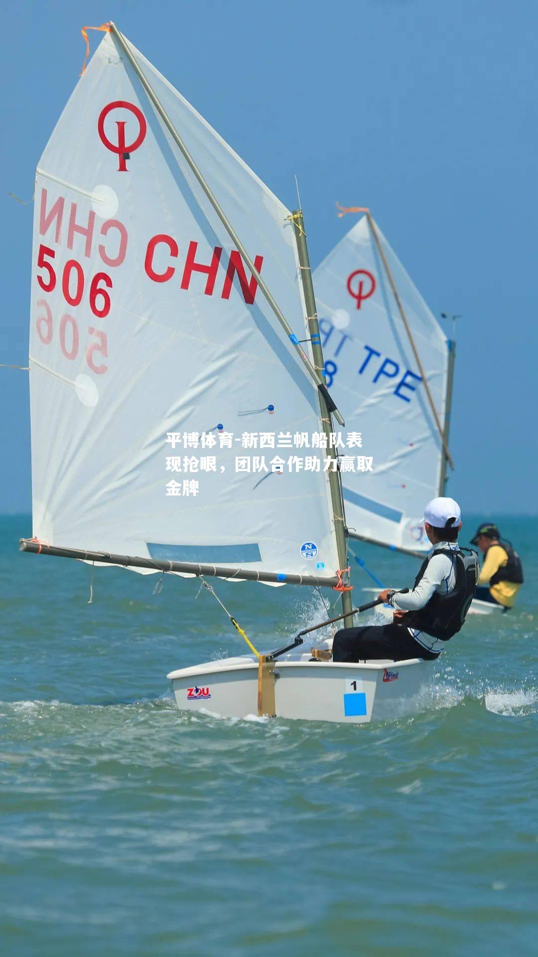 新西兰帆船队表现抢眼，团队合作助力赢取金牌
